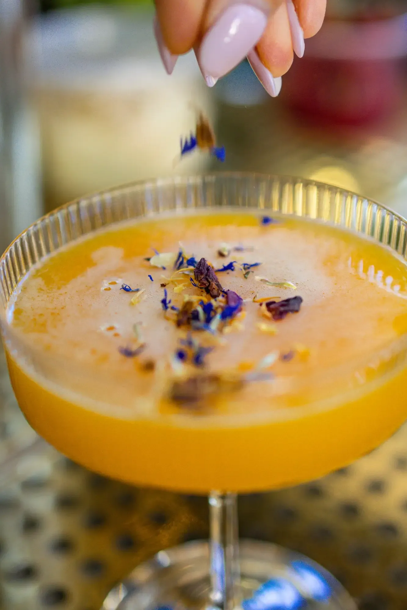 Cocktails - mixology